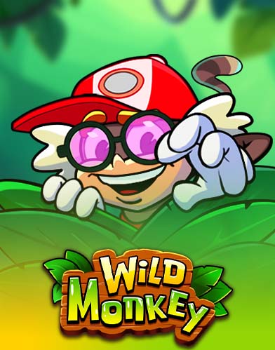 Wild Monkey