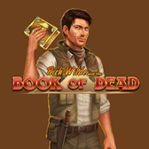 100 Fortune Spins Book of Dead